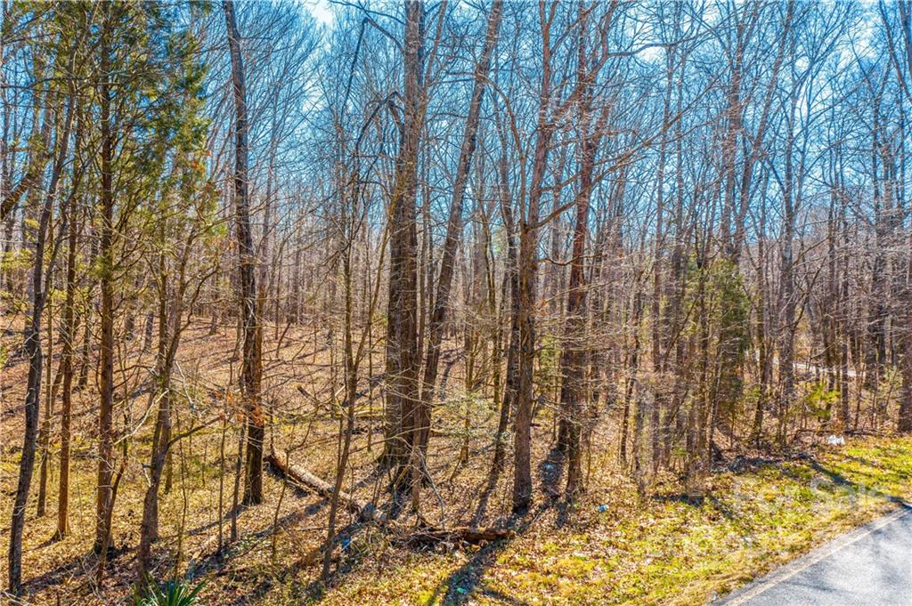 0 High Rock Road Gold Hill, NC 28071 - Photo 1 of 3 Gallery Image 1