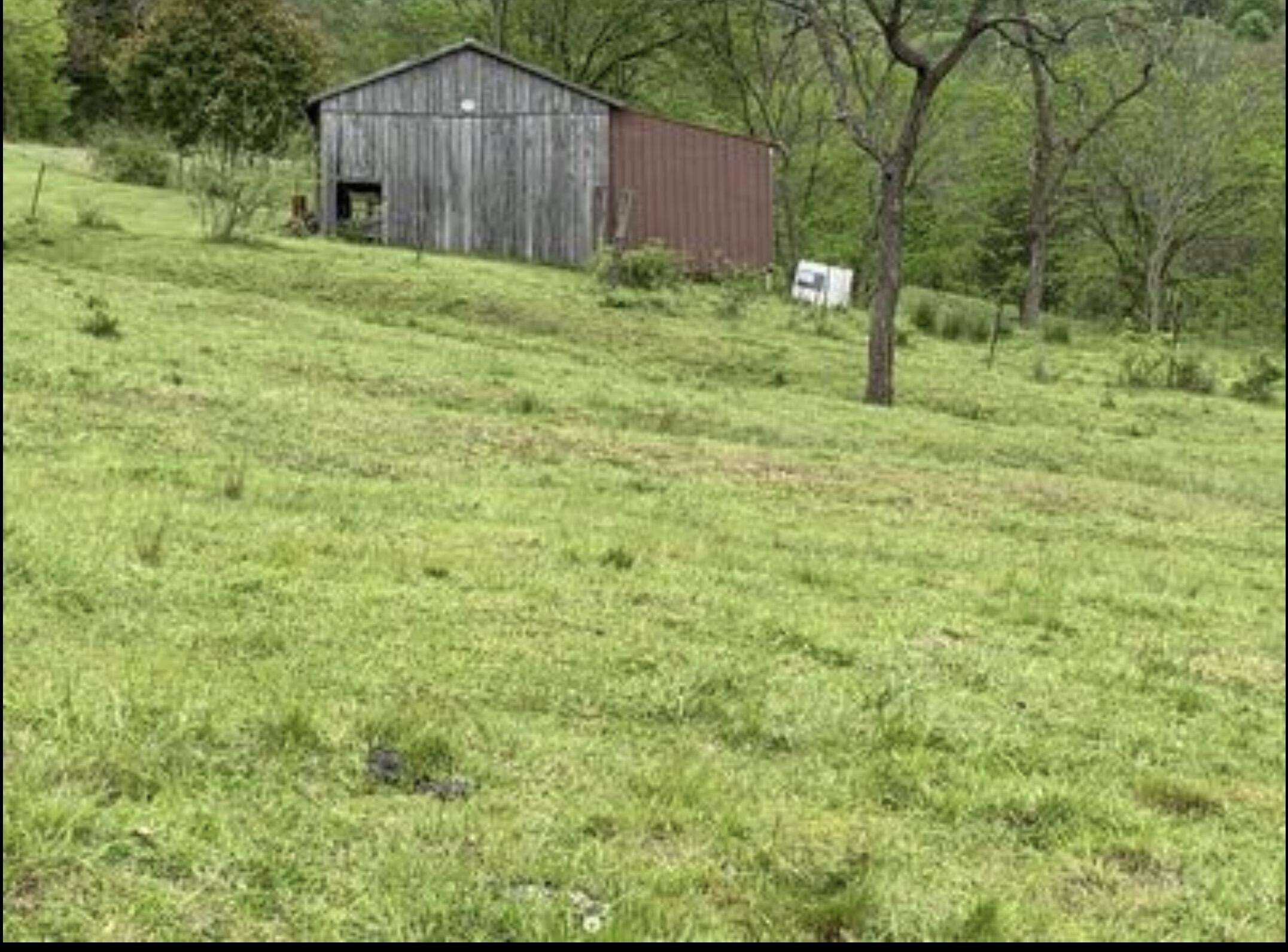 1568 Quicks Run Road Vanceburg, KY 41179 - Photo 11 of 49 IMG_8191