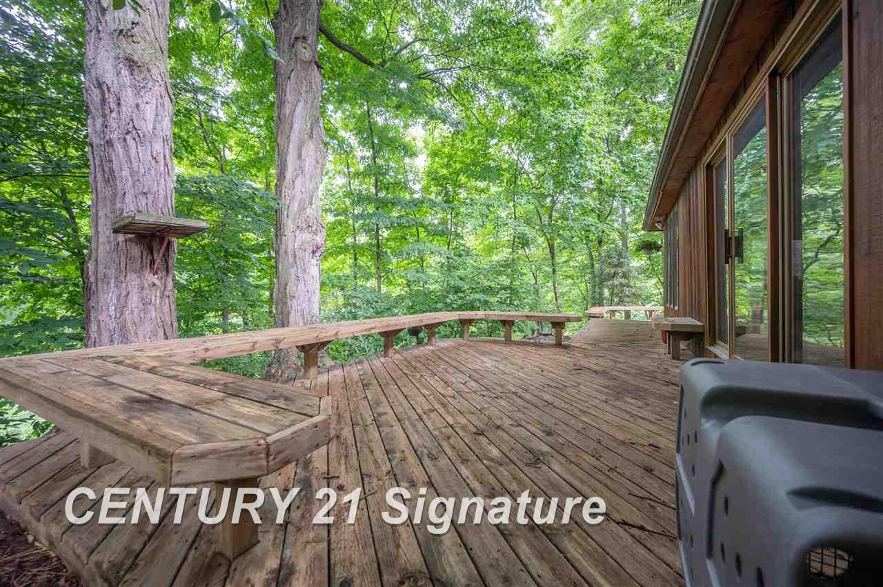 7795 South Meridian Road Bannister, MI 48807 - Photo 43 of 85