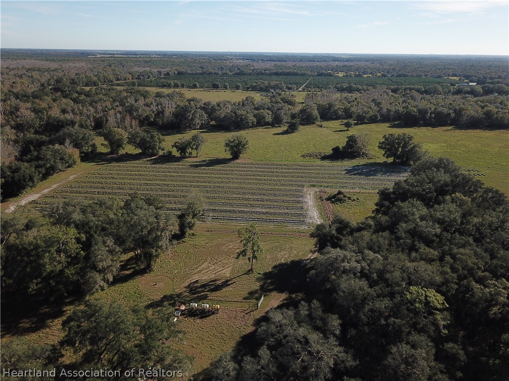 6211 Van Simmons Road Wauchula, FL 33873 - Photo 2 of 8 an aerial view of mountain with trees