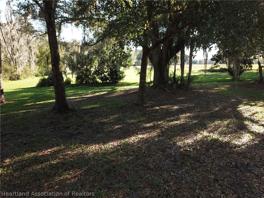 6211 Van Simmons Road Wauchula, FL 33873 - Photo 5 of 8 a view of road and trees