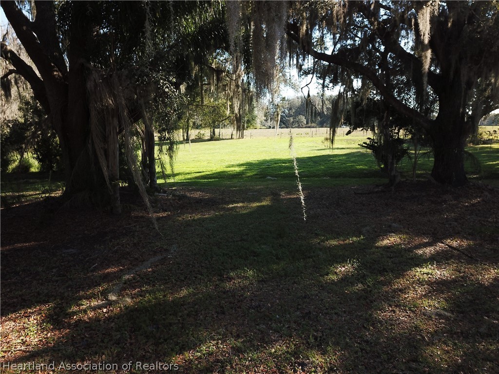 6211 Van Simmons Road Wauchula, FL 33873 - Photo 6 of 8 a view of a yard with a tree