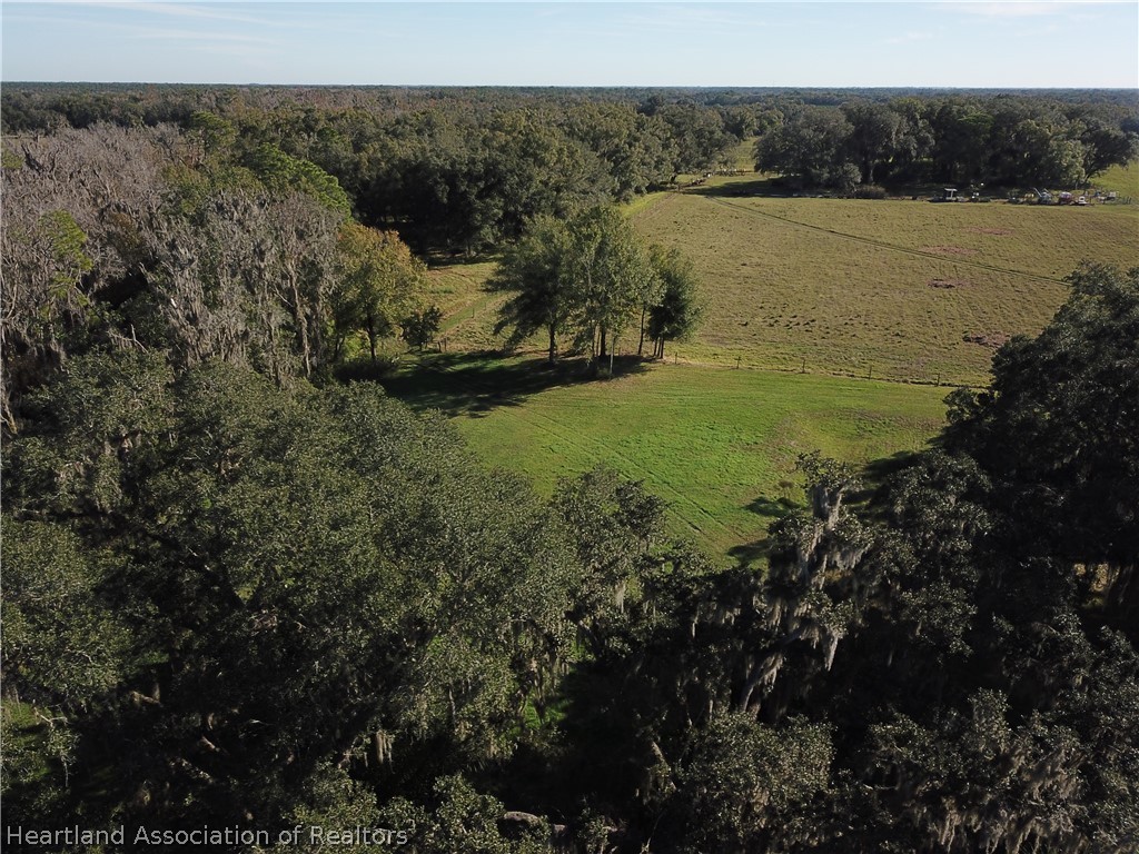 6211 Van Simmons Road Wauchula, FL 33873 - Photo 7 of 8 a view of a lake with a mountain and trees