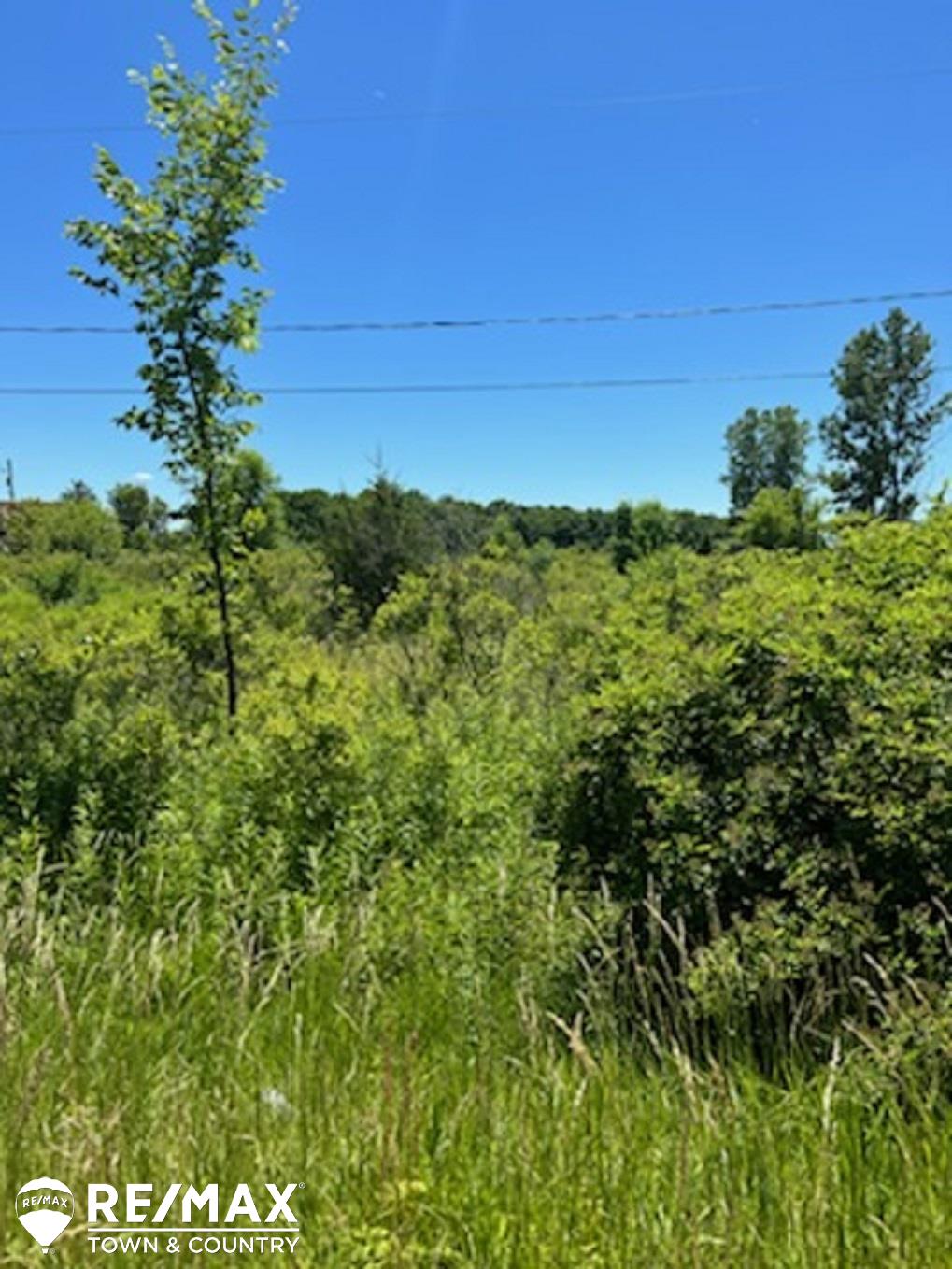 0 East Wilson Road Clio, MI 48420 - Photo 2 of 4