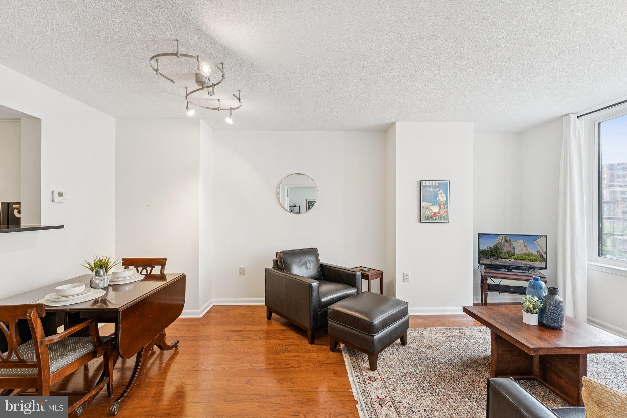 851 North Glebe Road, Unit 718 Arlington, VA 22203 - Photo 8 of 37 a living room with furniture a rug and a window