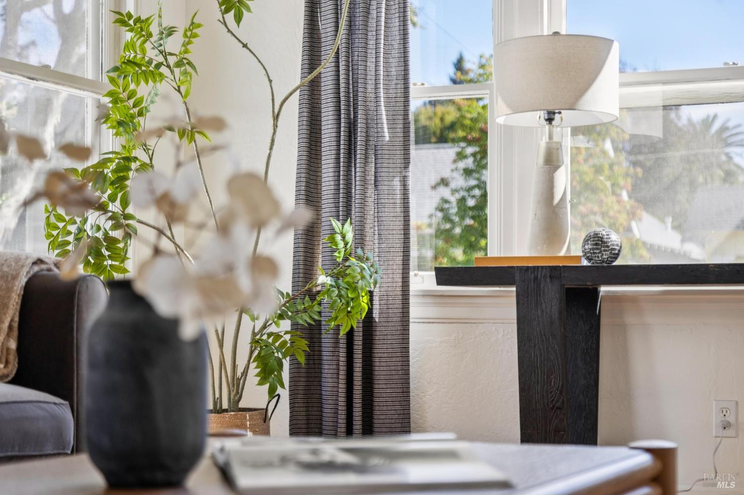 539 Randolph Street Napa, CA 94559 - Photo 14 of 35 a view of a flower pot