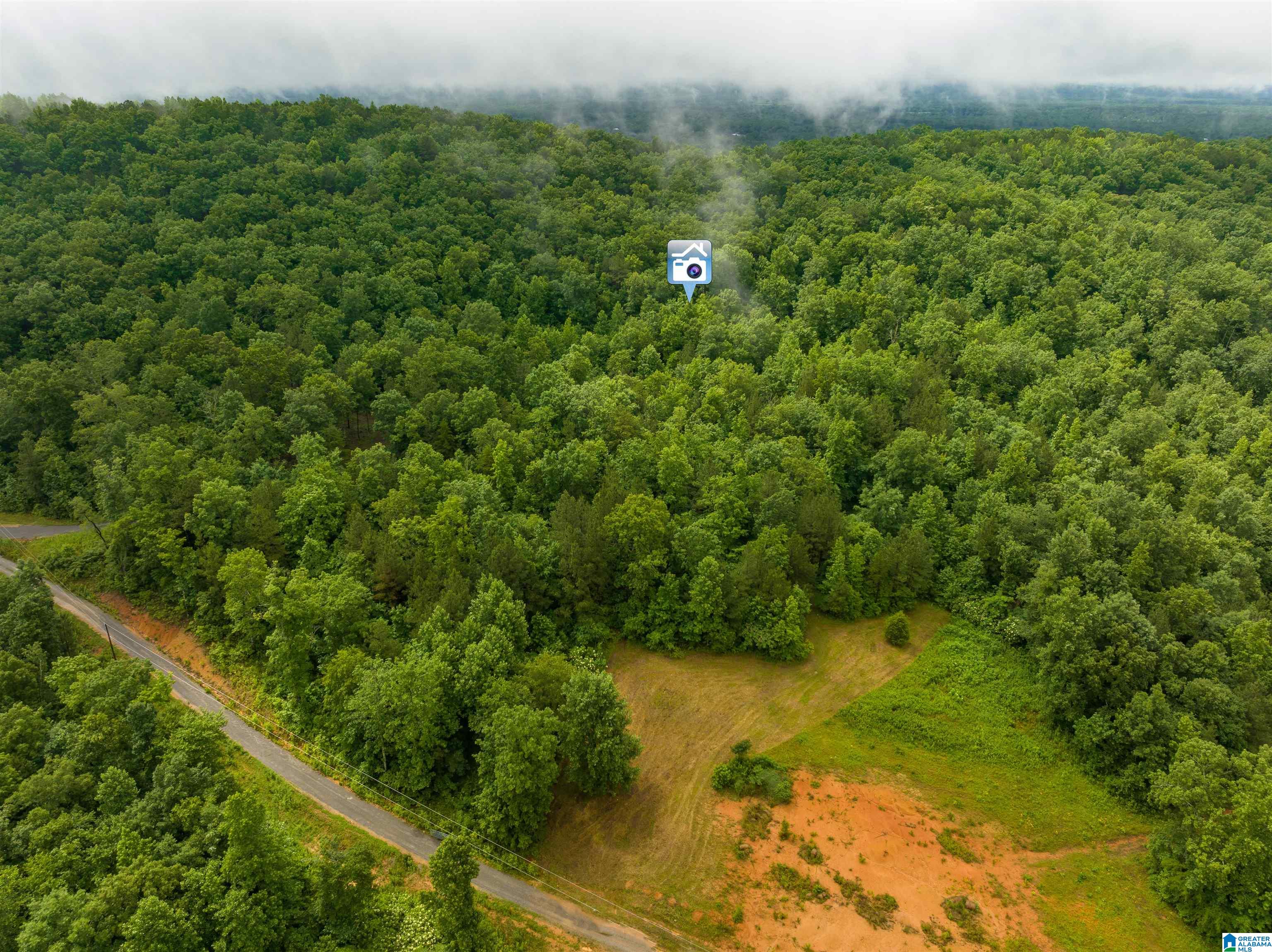 0 Crawford Cove Road Springville, AL 35146 - Photo 1 of 11