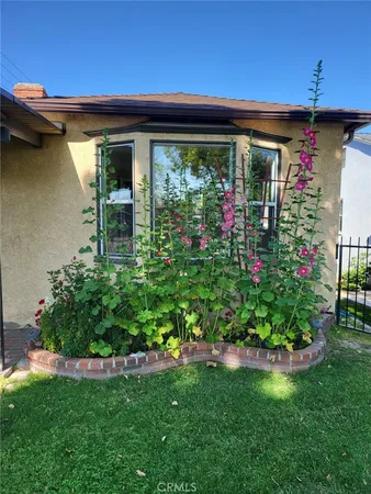 a view of a backyard with plants