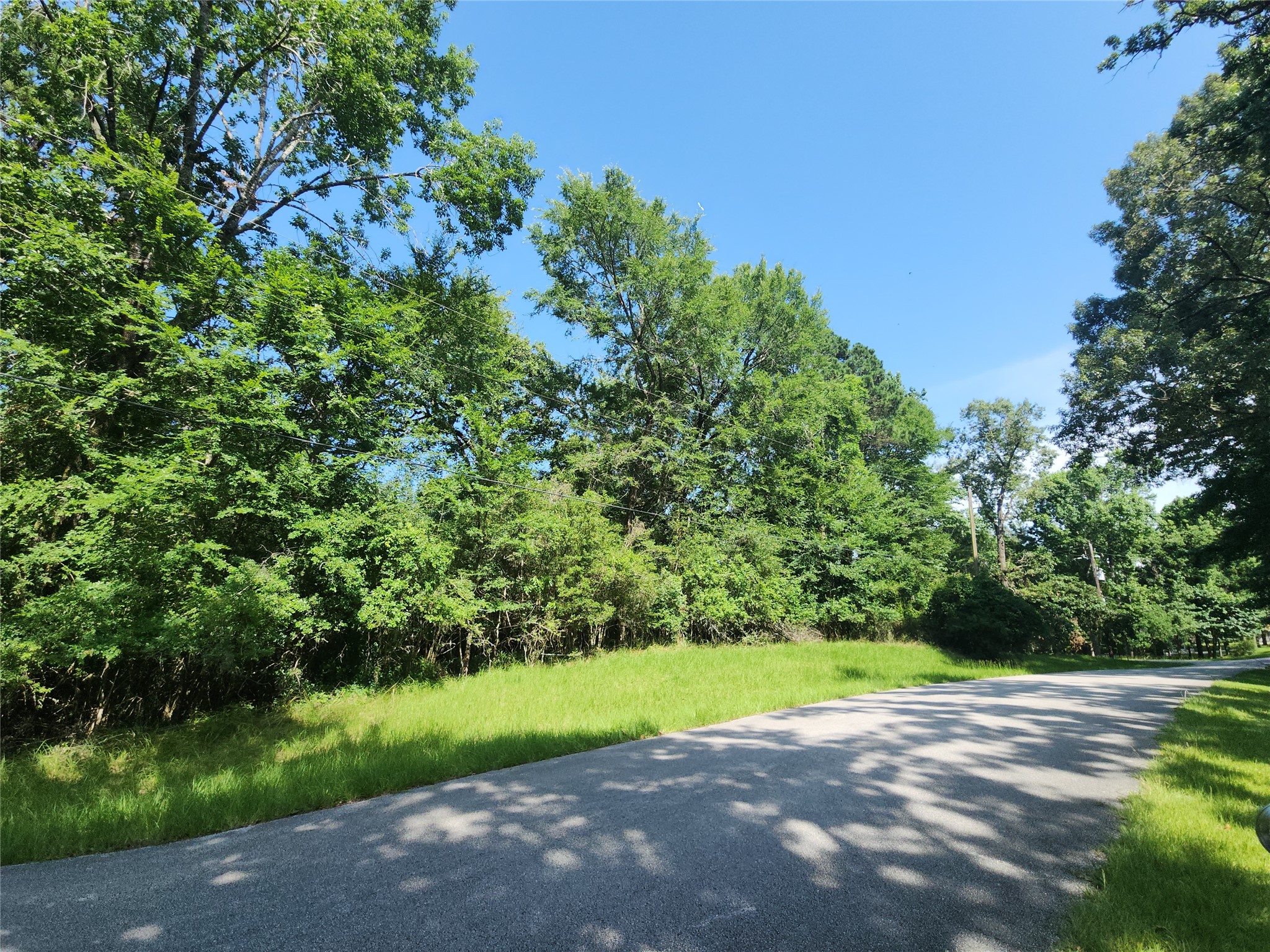 0 Red Oak Lane Trinity, TX 75862 - Photo 4 of 12 Lot on the left, going toward the cul-de-sac.