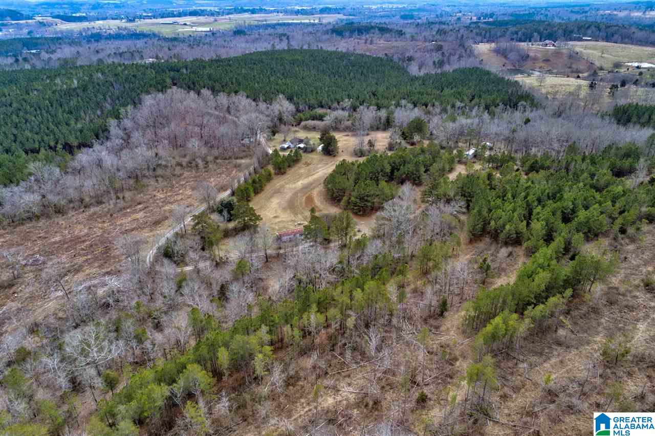 620 Chief Albert Road Blountsville, AL 35031 - Photo 14 of 15