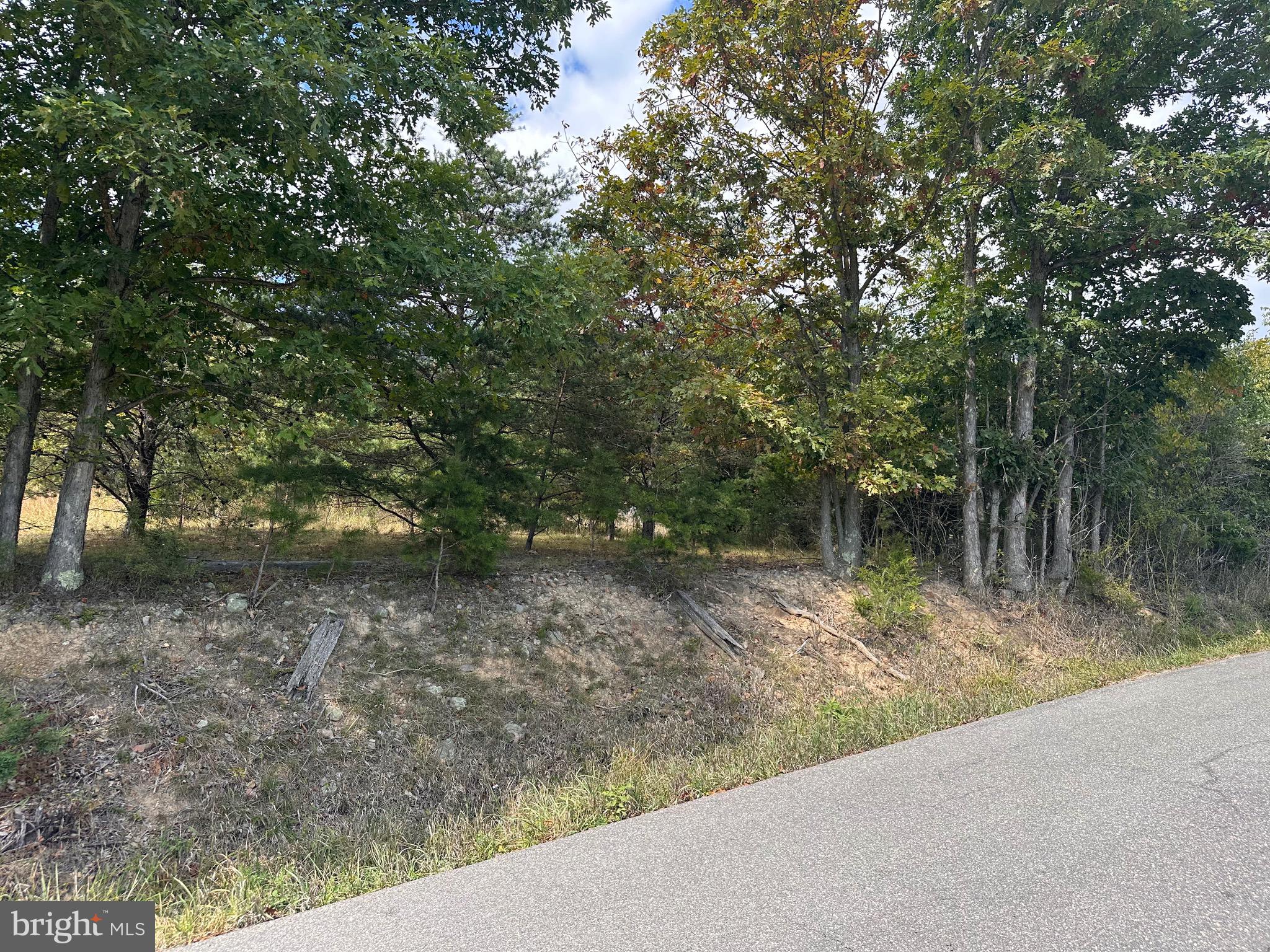 Knobley Road Keyser, WV 26726 - Photo 13 of 19