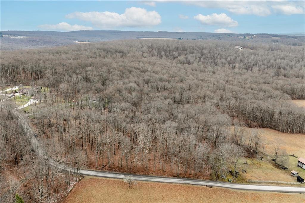 Lots 3-4 Henning Road Farmington, PA 15437 - Photo 7 of 10 Gallery Image 7