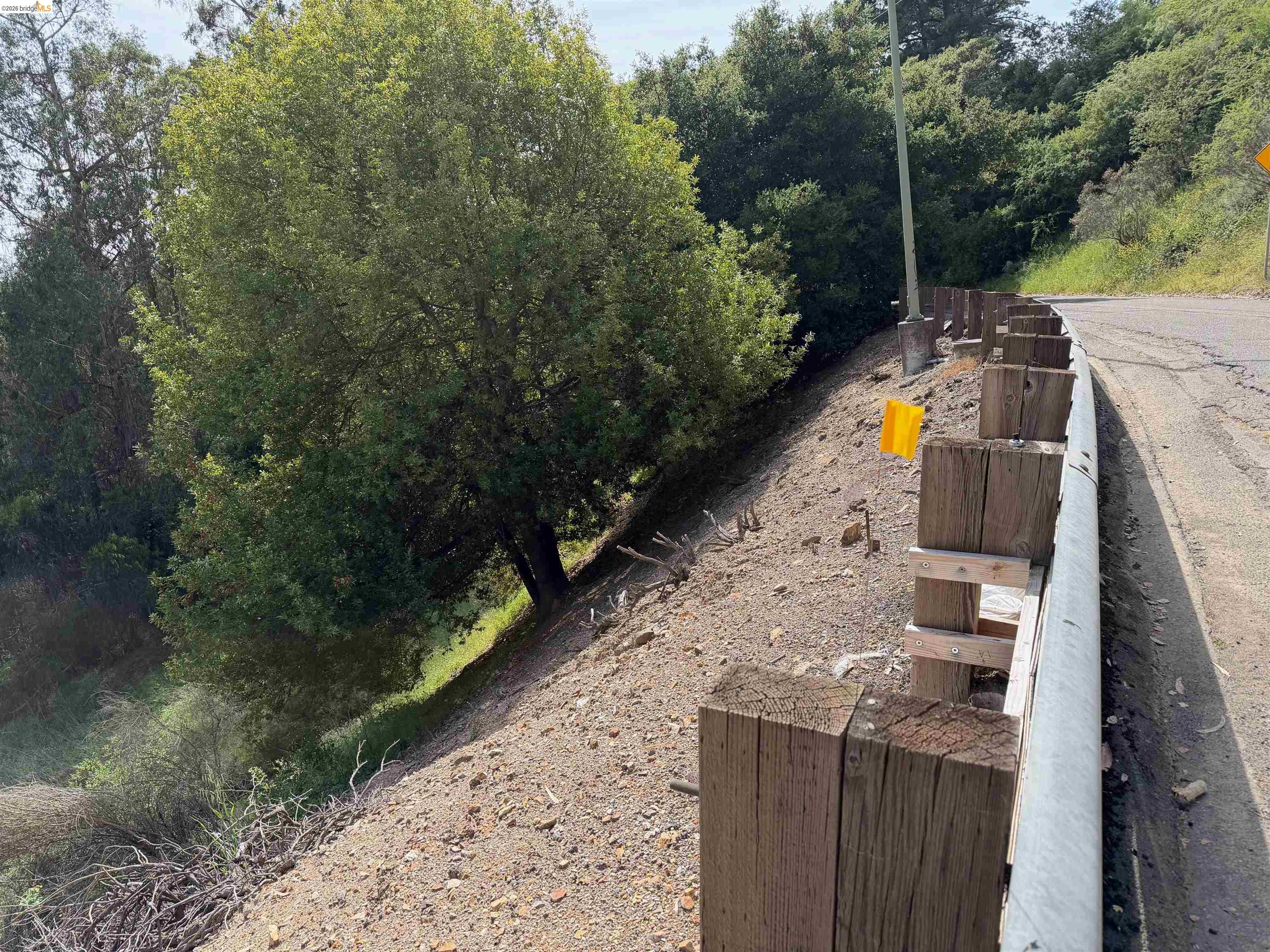 2551 Tunnel Road Oakland, CA 94611 - Photo 15 of 15 a view of yard along with trees