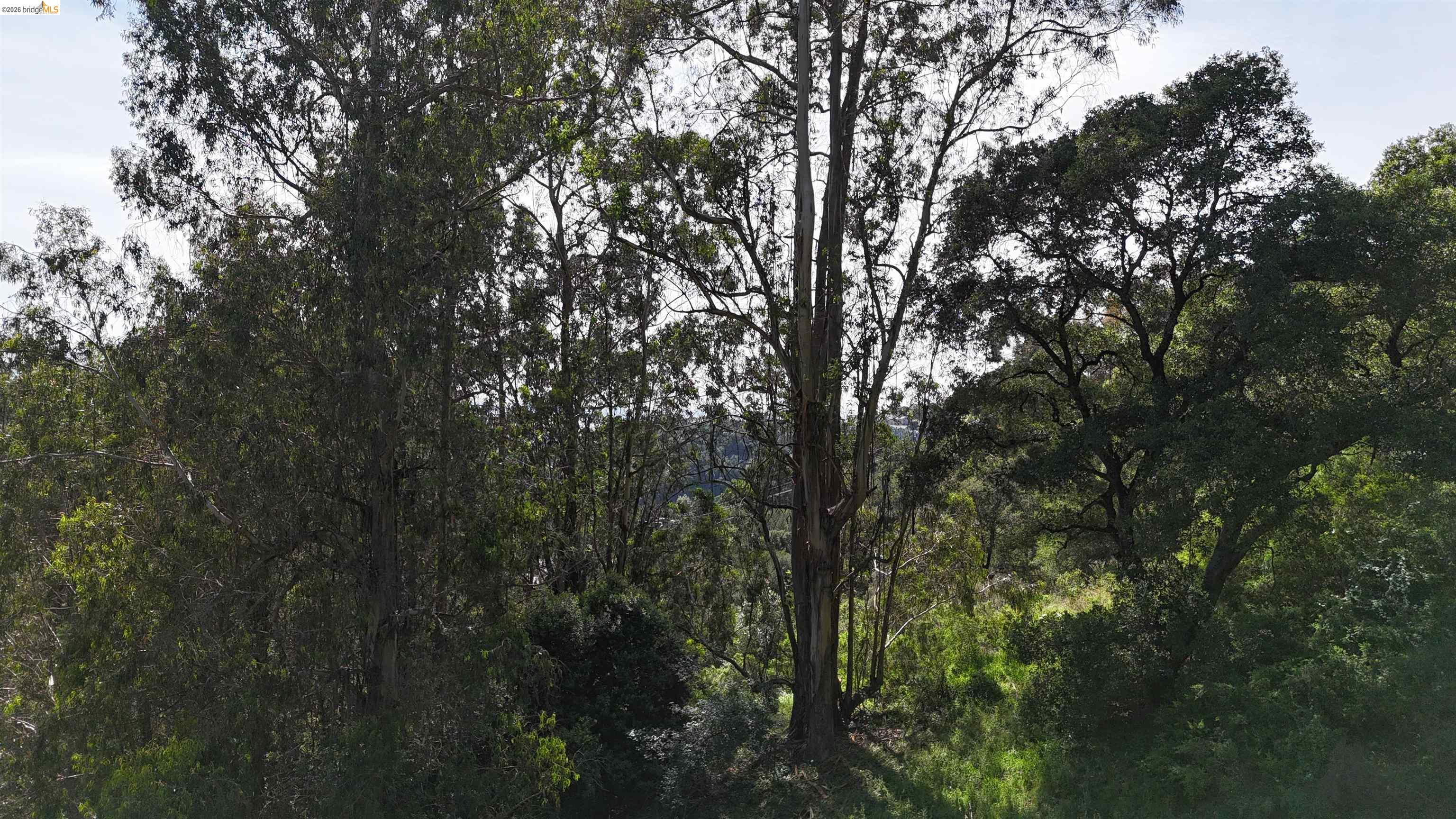 2551 Tunnel Road Oakland, CA 94611 - Photo 4 of 15