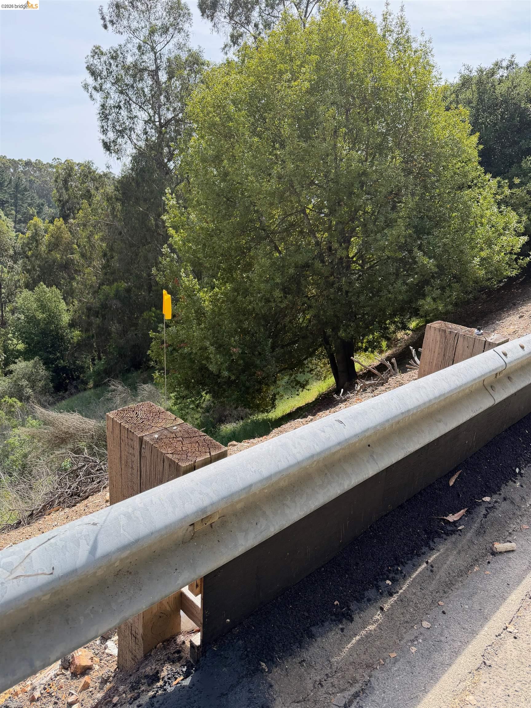 2551 Tunnel Road Oakland, CA 94611 - Photo 7 of 15 a view of a yard from a window