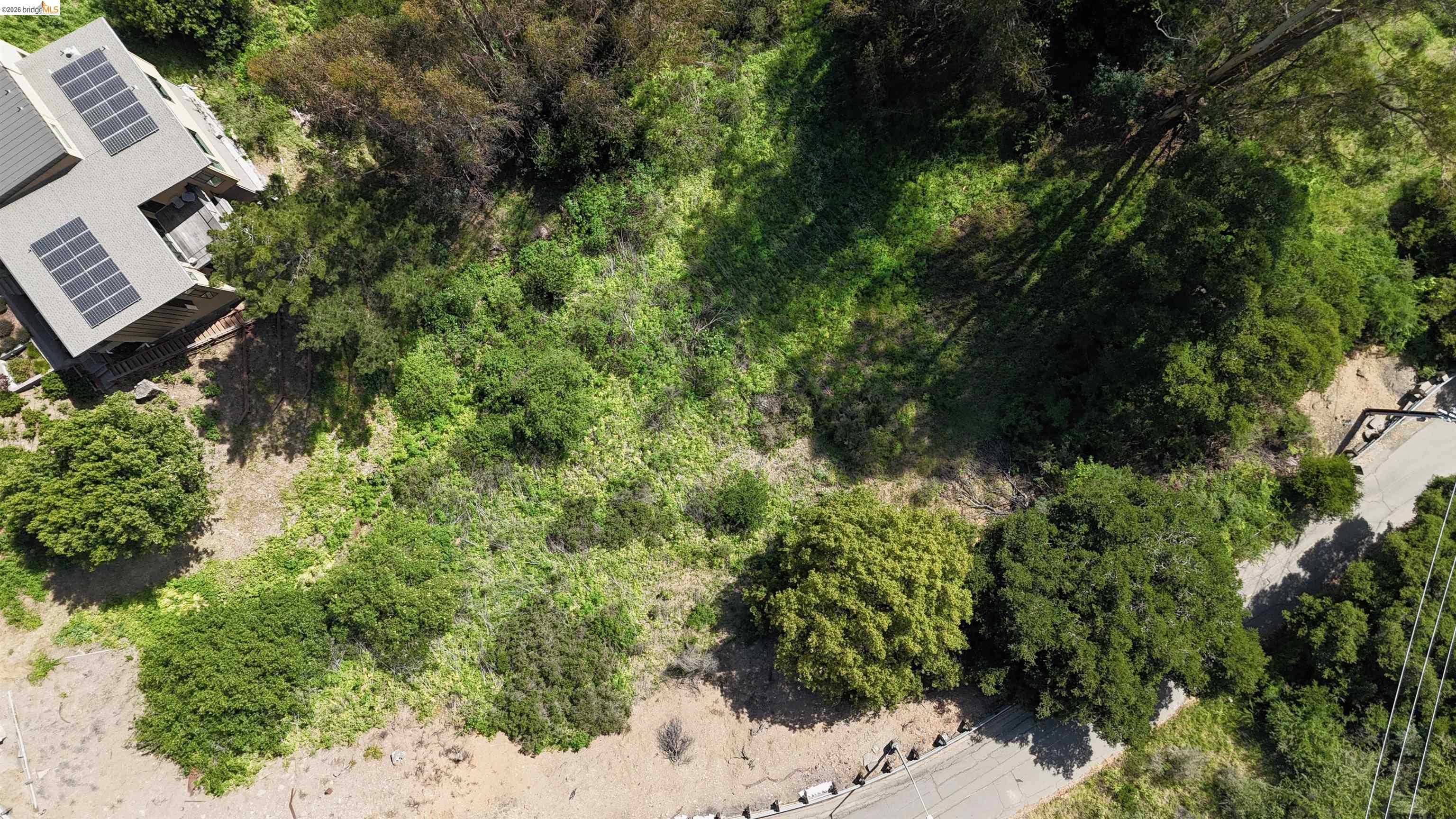 2551 Tunnel Road Oakland, CA 94611 - Photo 8 of 15 a view of a lush green forest with lots of trees