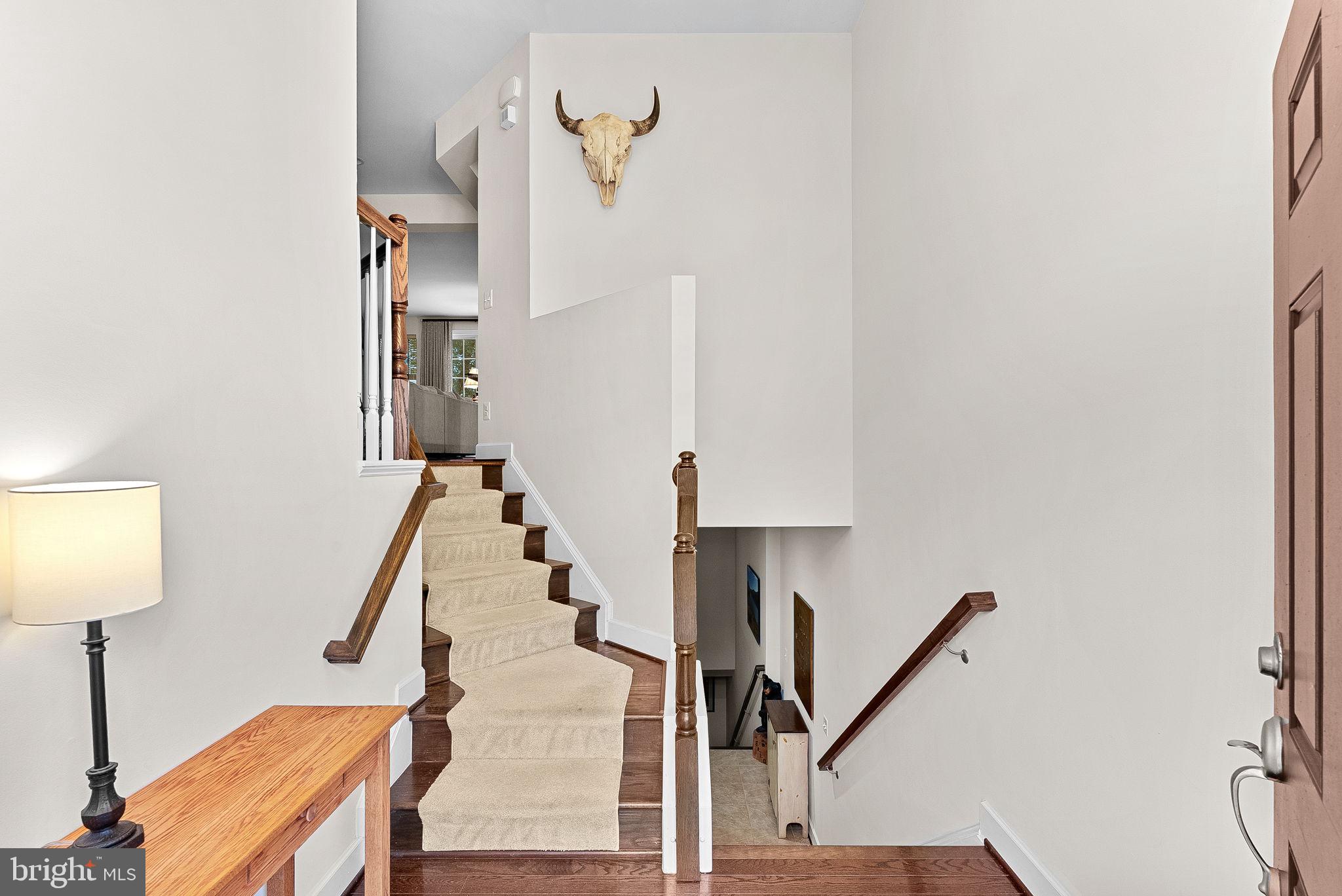 20281 Center Brook Square Sterling, VA 20165 - Photo 5 of 51 a view of entryway and hall with wooden floor