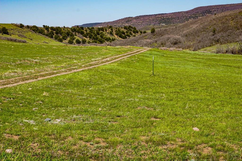 Tbd Tbd Rilling Canyon Road La Veta, CO 81055 - Photo 26 of 33