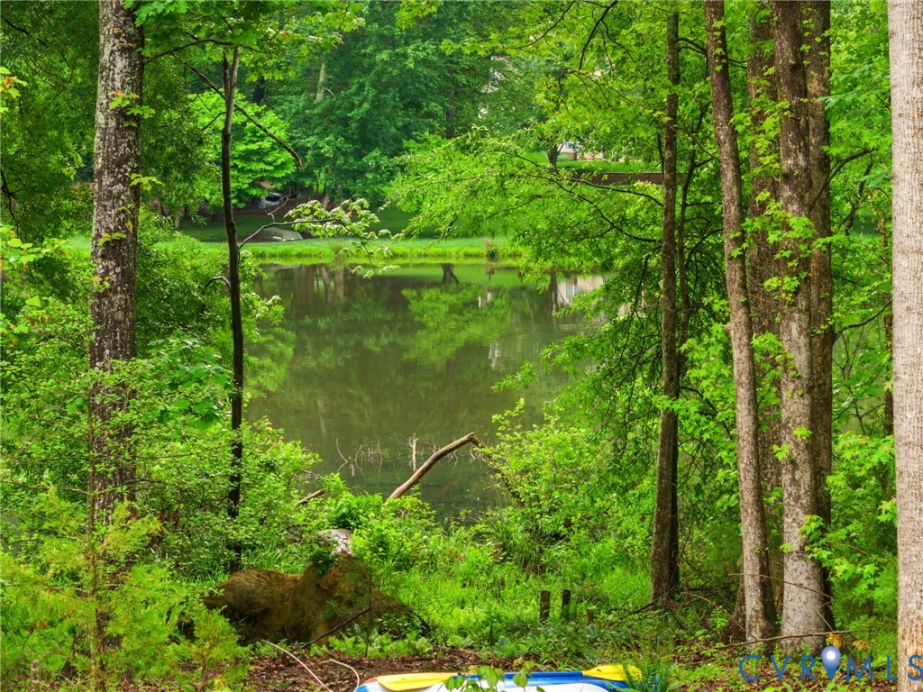 1270 Mill Quarter Road Powhatan, VA 23139 - Photo 30 of 39 WaterView