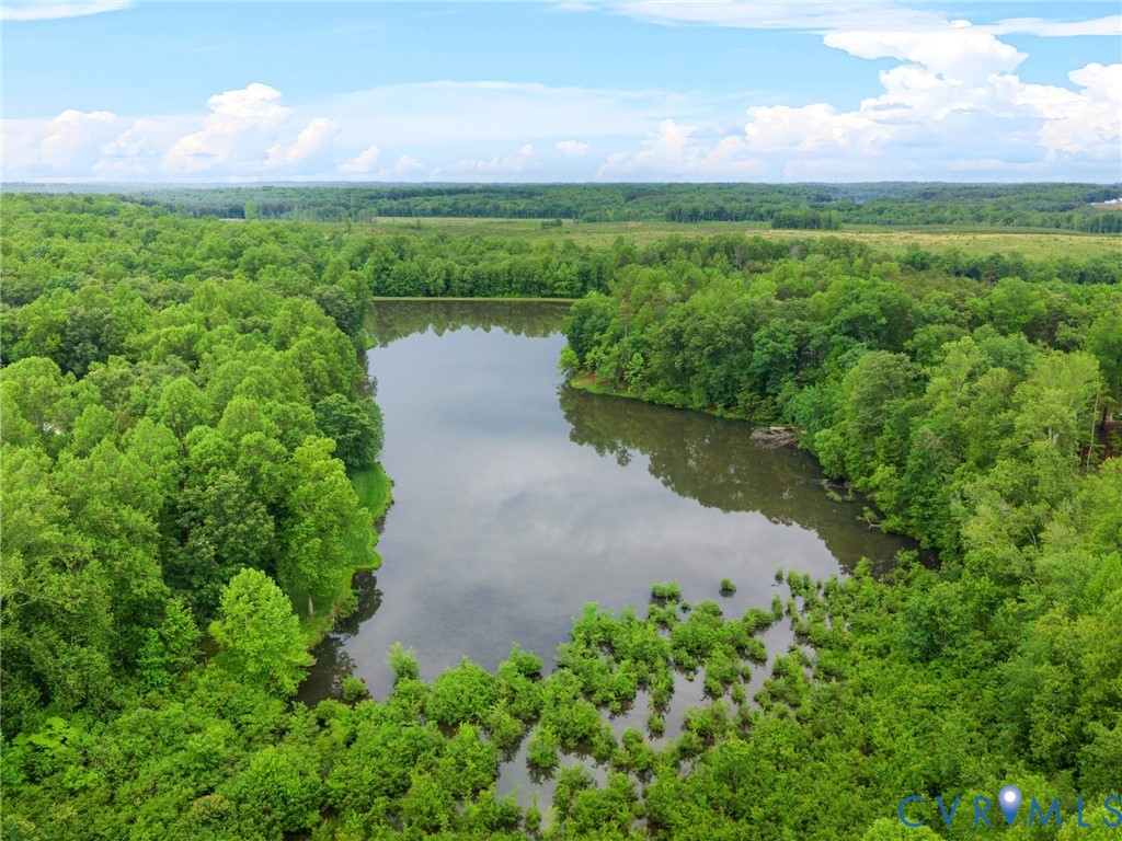 1270 Mill Quarter Road Powhatan, VA 23139 - Photo 3 of 39 Overhead view of your private lake
