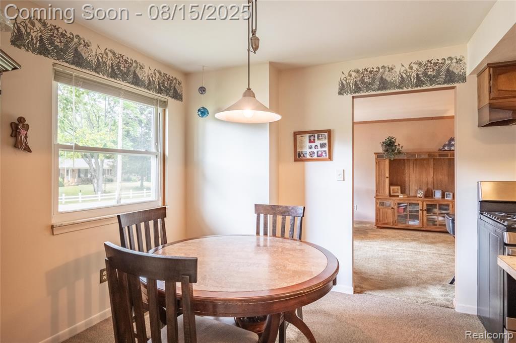 1412 Booth Street Howell, MI 48843 - Photo 6 of 26