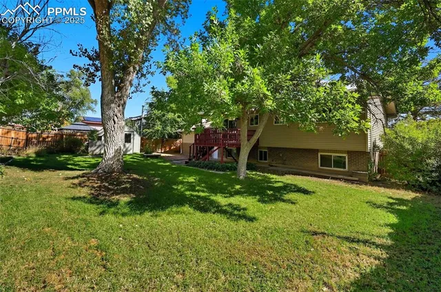 a backyard of a house with plants and large tree