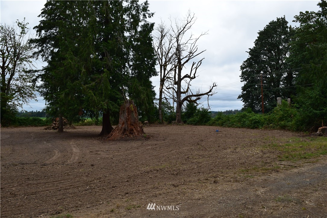 289 Kennedy Road Onalaska, WA 98570 - Photo 2 of 20 Gallery Image 2