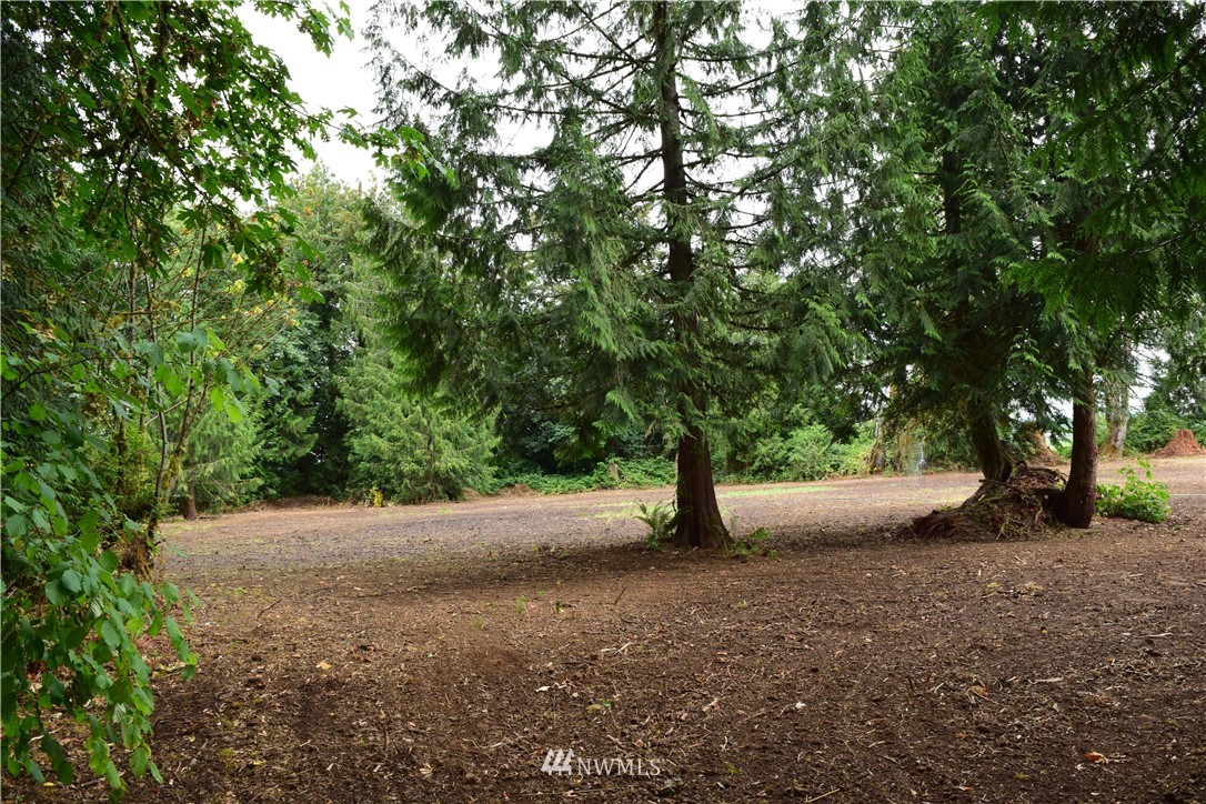289 Kennedy Road Onalaska, WA 98570 - Photo 14 of 20 Gallery Image 14