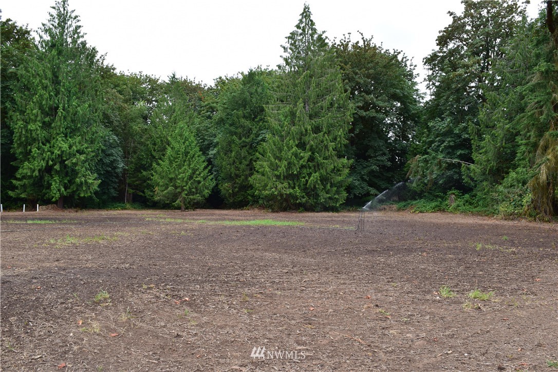 289 Kennedy Road Onalaska, WA 98570 - Photo 10 of 20 Gallery Image 10