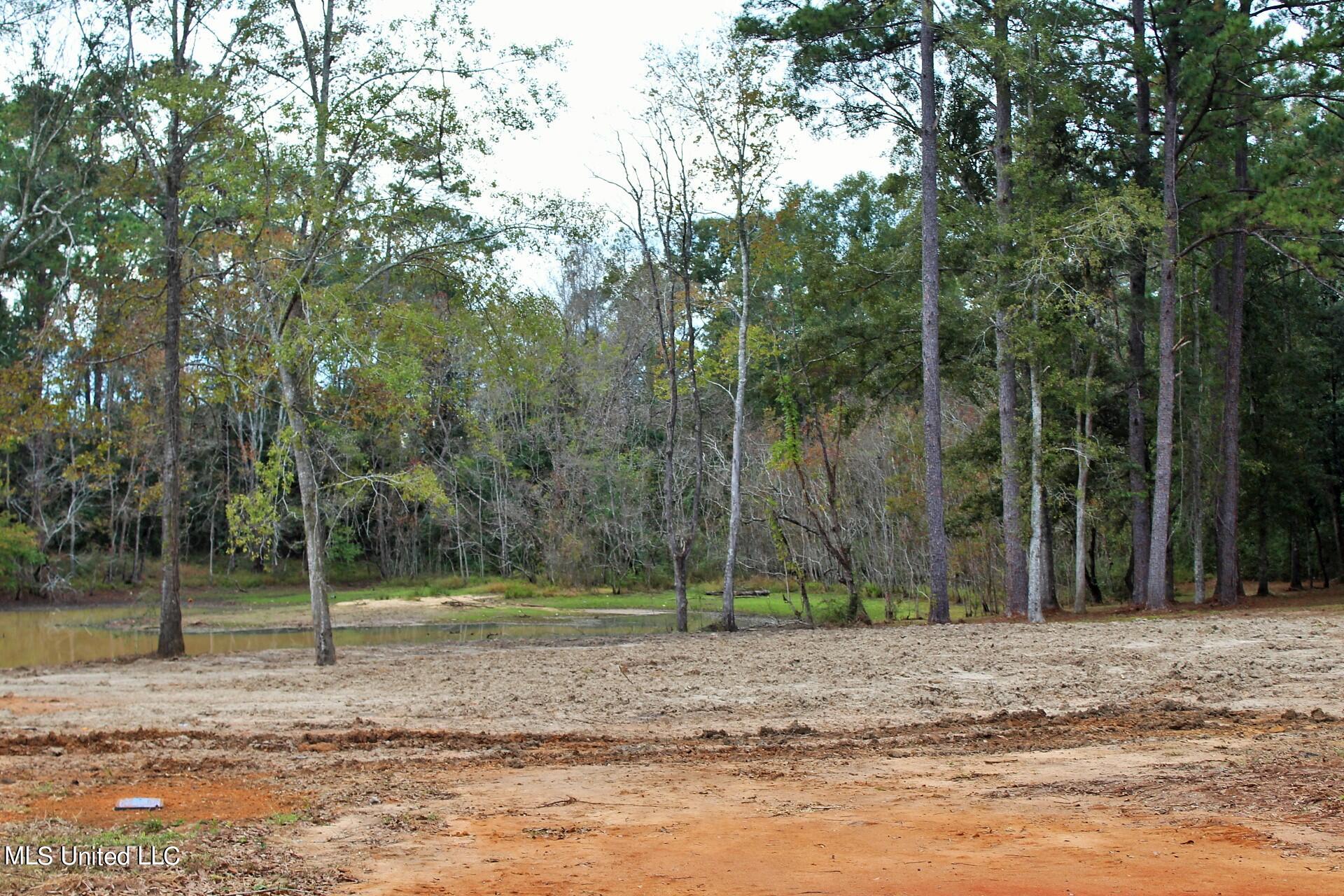3.19-ac Ridge Lane Lucedale, MS 39452 - Photo 1 of 6 IMG_3922