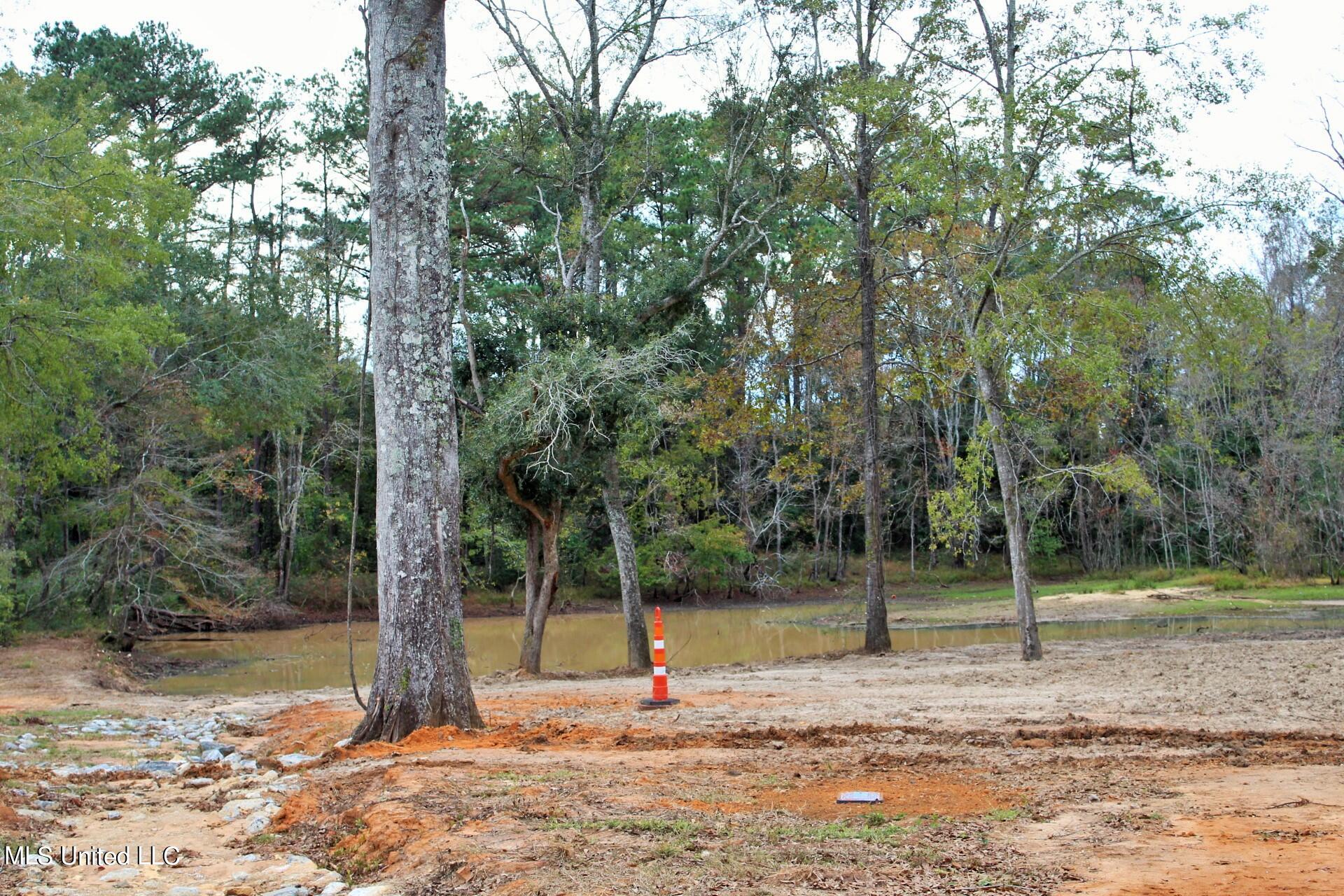 3.19-ac Ridge Lane Lucedale, MS 39452 - Photo 4 of 6 IMG_3920
