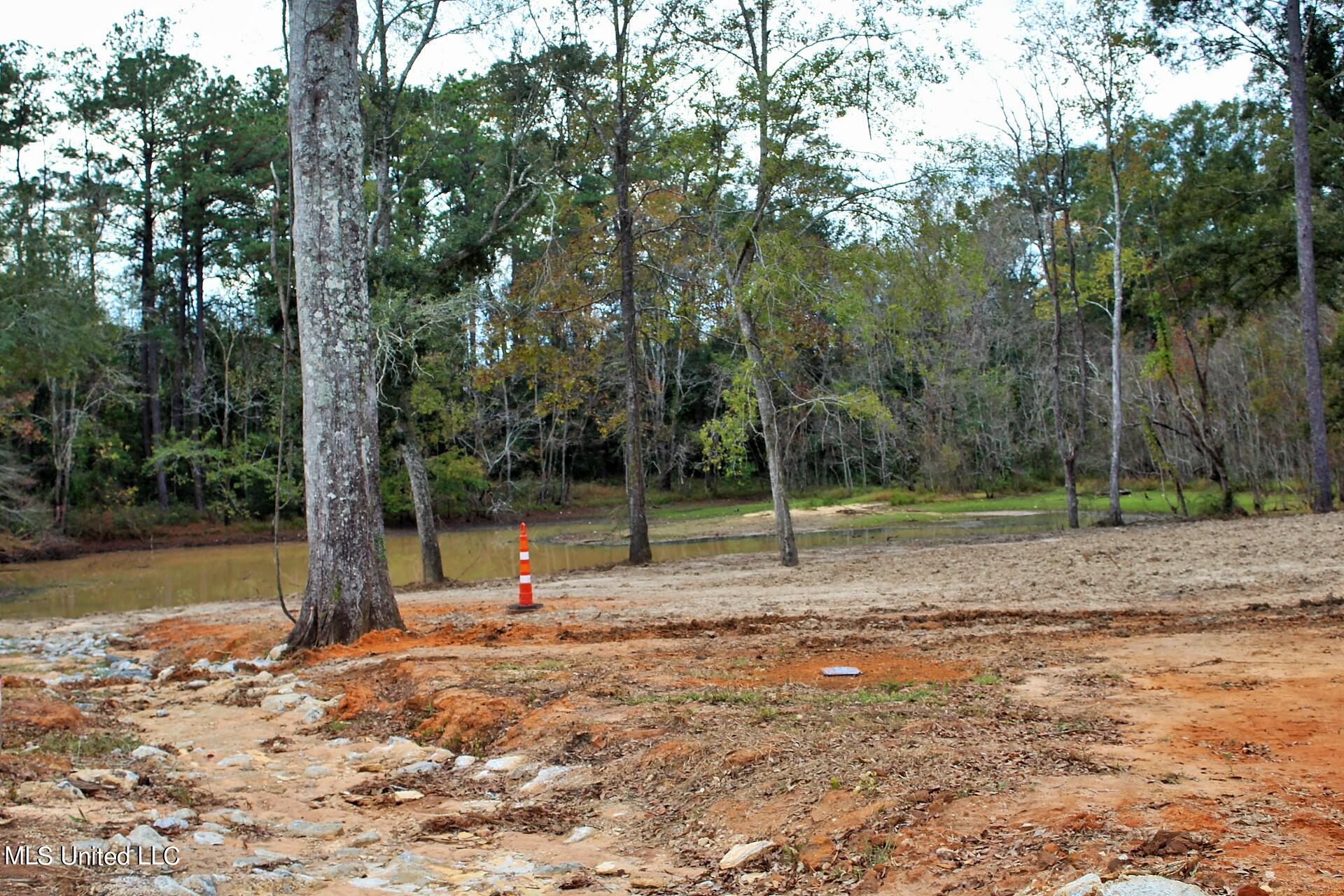3.19-ac Ridge Lane Lucedale, MS 39452 - Photo 6 of 6 IMG_3930