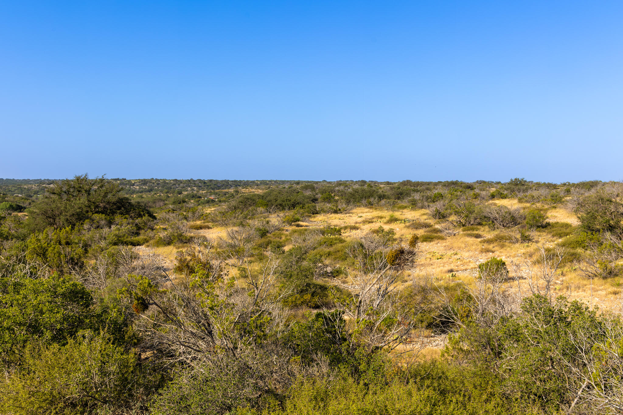 Tbd Windmill Road Ozona, TX 76943 - Photo 16 of 26 Leonard Ranch-15