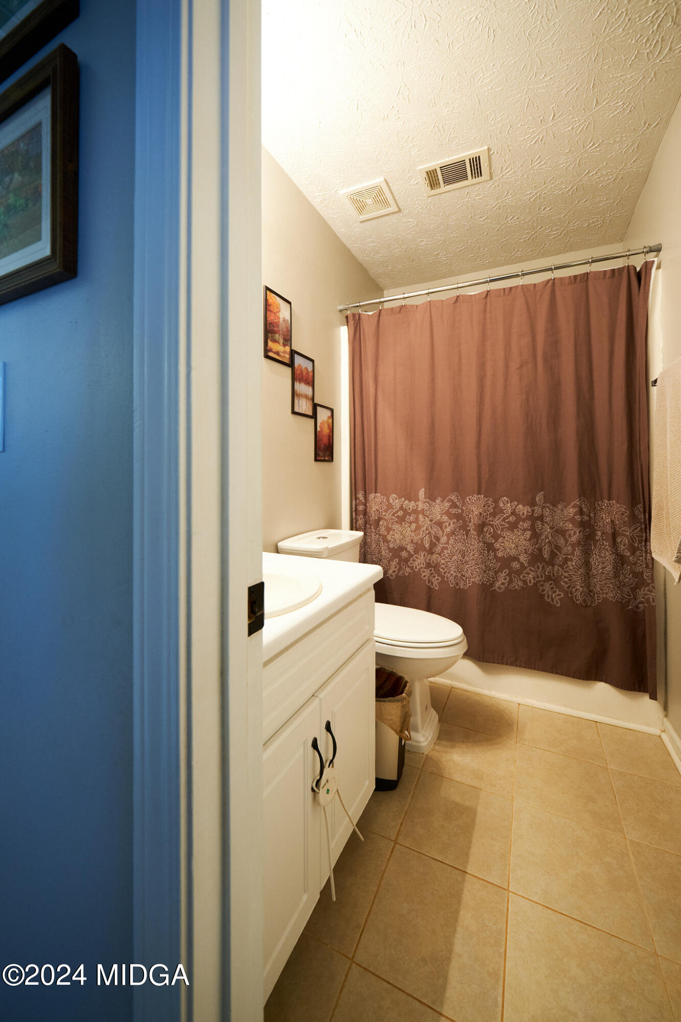 625 Windsor Drive Monroe, GA 30656 - Photo 10 of 27 a bathroom with a sink a toilet and shower