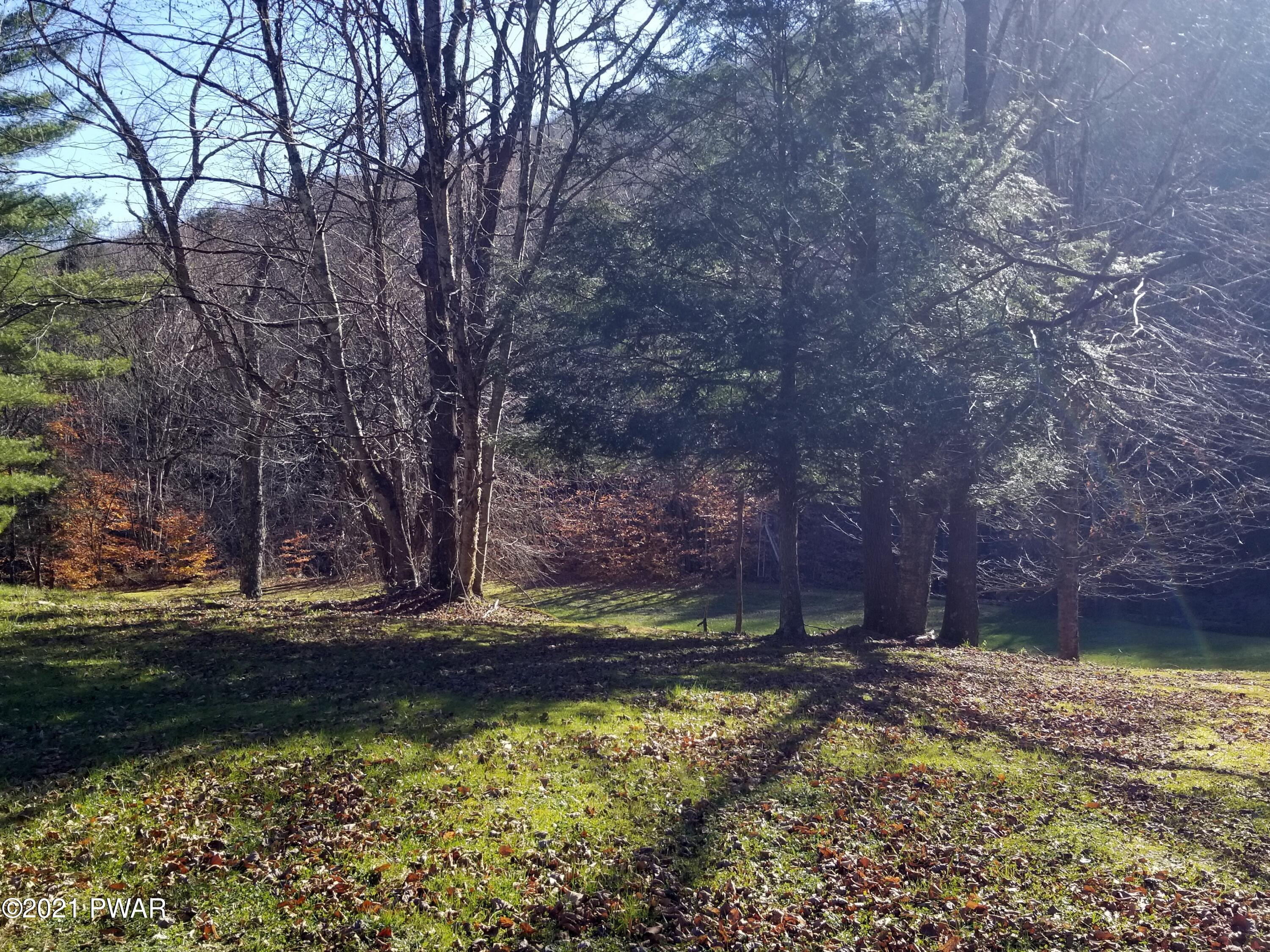 964 Braman Road Equinunk, PA 18417 - Photo 17 of 20