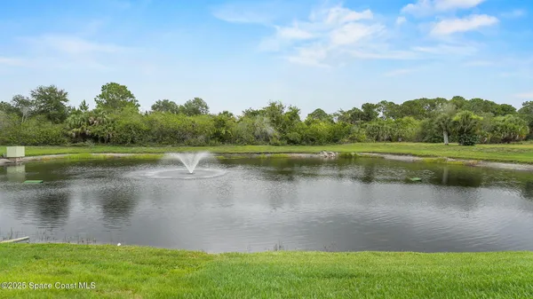 a view of a lake with a yard and a large tree