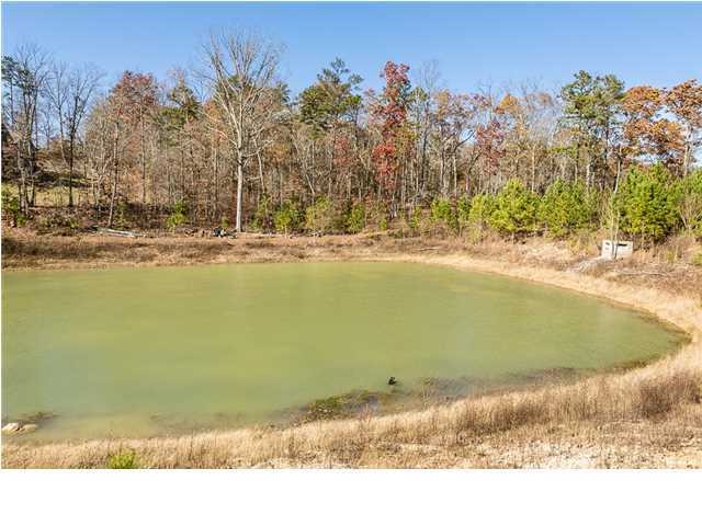 99 Condra Road Ringgold, GA 30736 - Photo 14 of 30 Pond