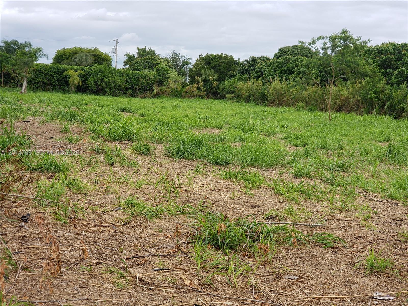 a view of a large yard with lots of green space