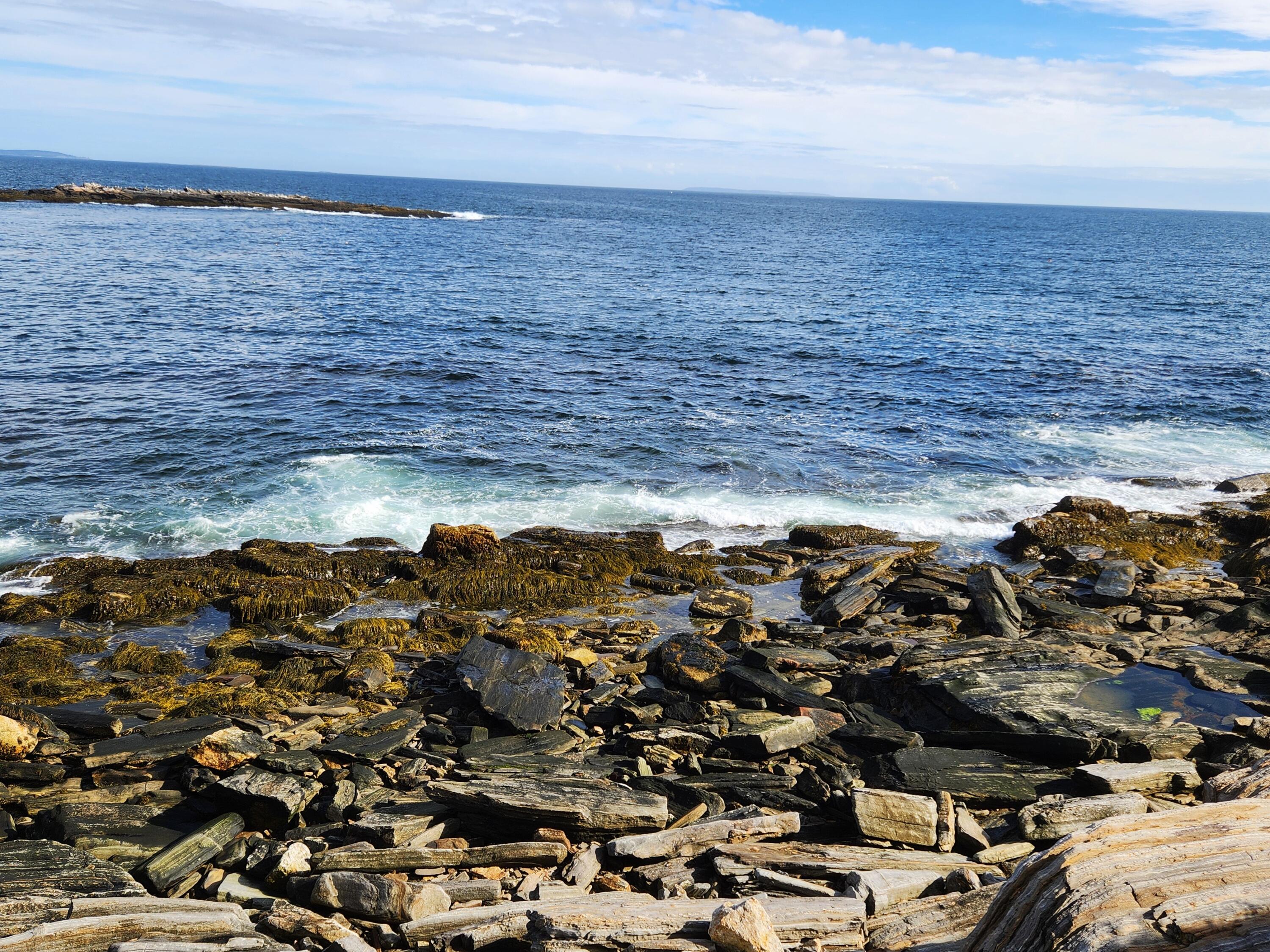 317 Highway 32 Chamberlain, ME 04541 - Photo 43 of 51 Rocky shore