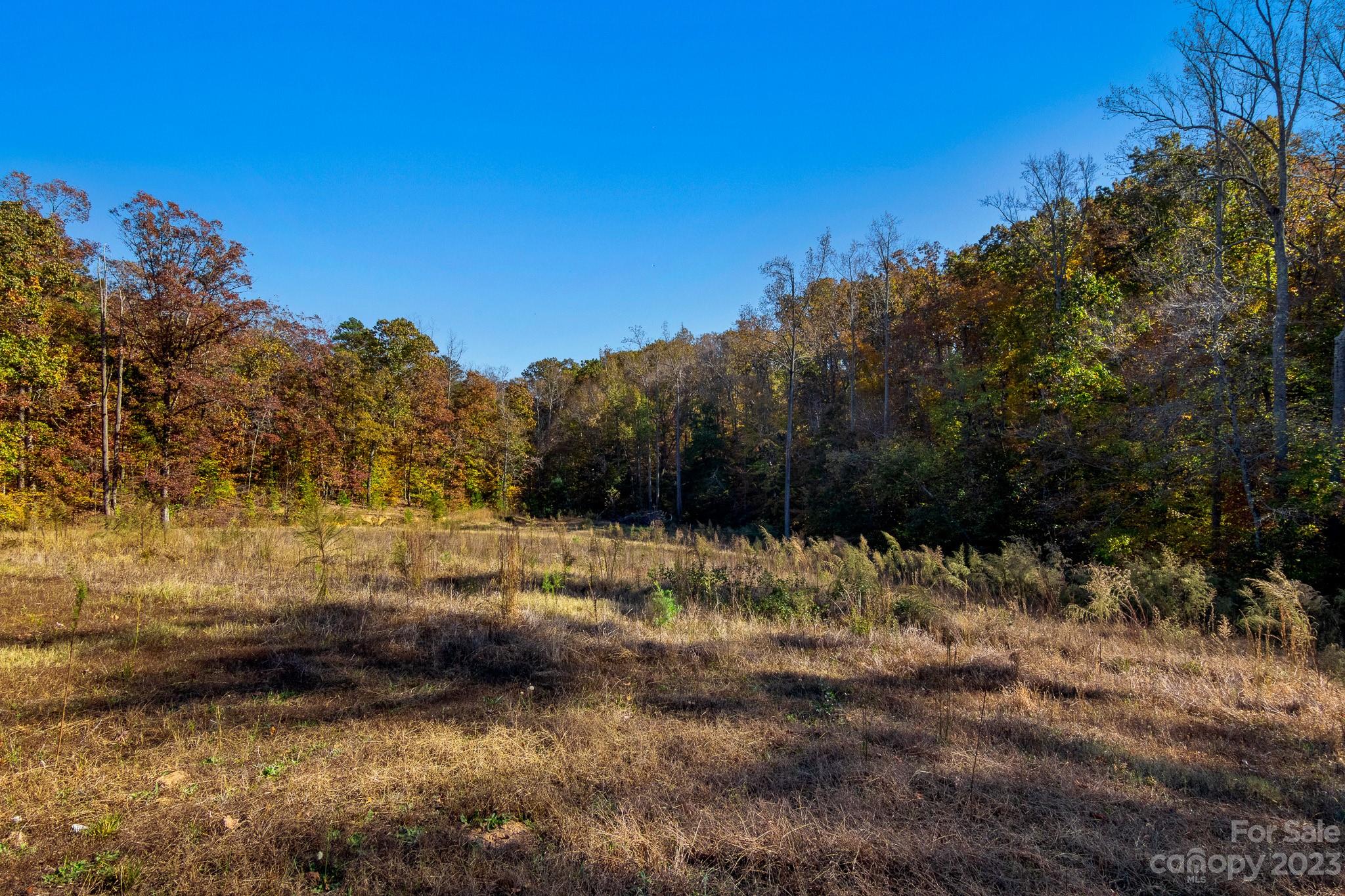 296 Blackwell Road Blacksburg, SC 29702 - Photo 46 of 47 Gallery Image 46