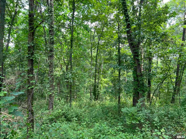 $45,000 | 15 North 550th Avenue, Clayton, IL 62324