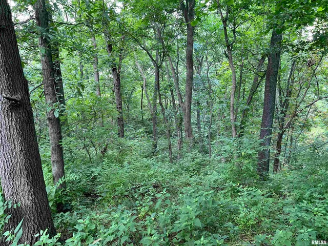 $45,000 | 15 North 550th Avenue, Clayton, IL 62324