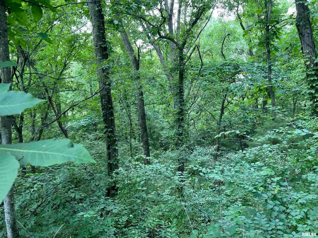 $45,000 | 15 North 550th Avenue, Clayton, IL 62324