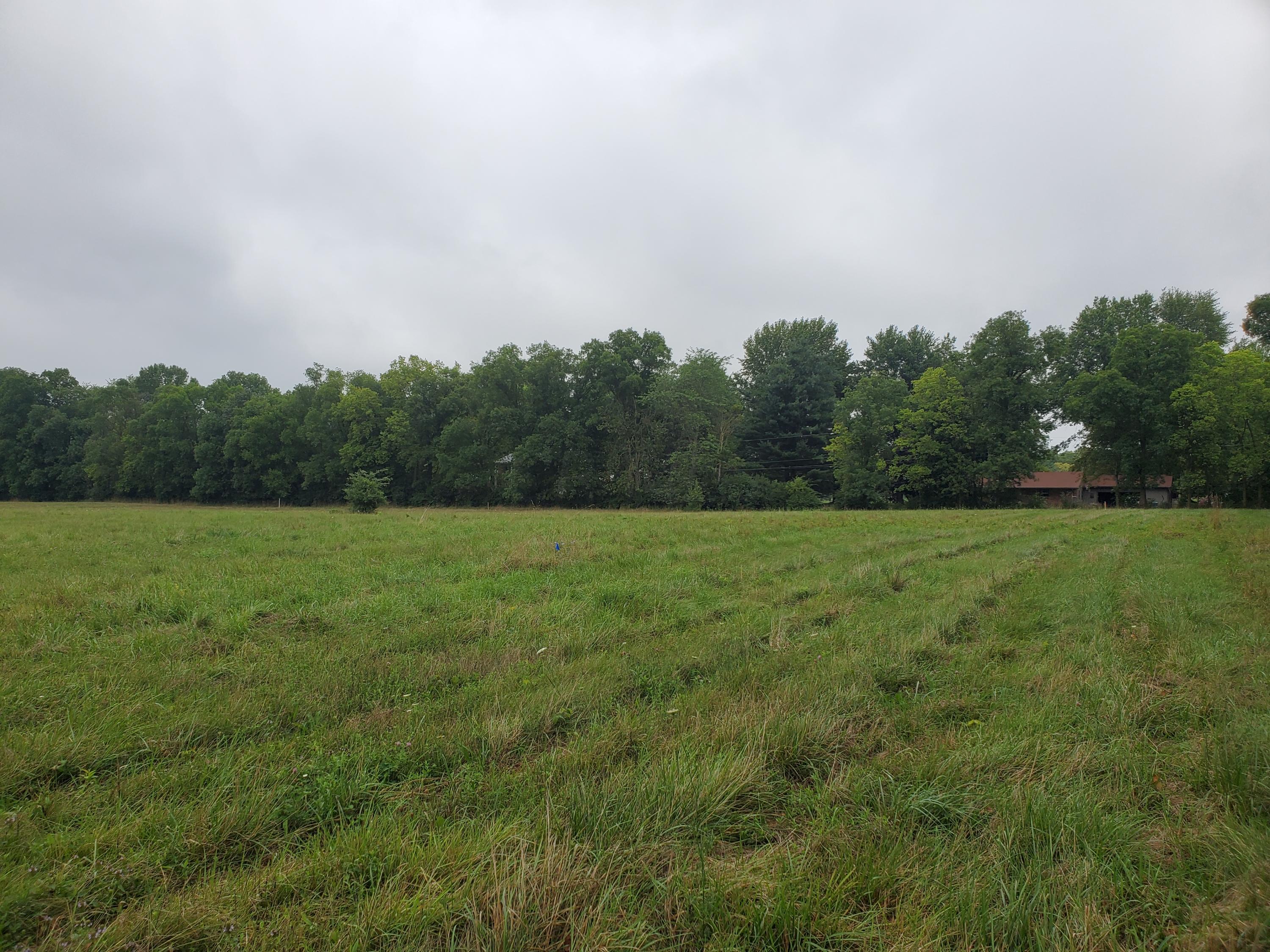 0 Freshwater Road, Unit TRACT 1 Delaware, OH 43015 - Photo 4 of 5