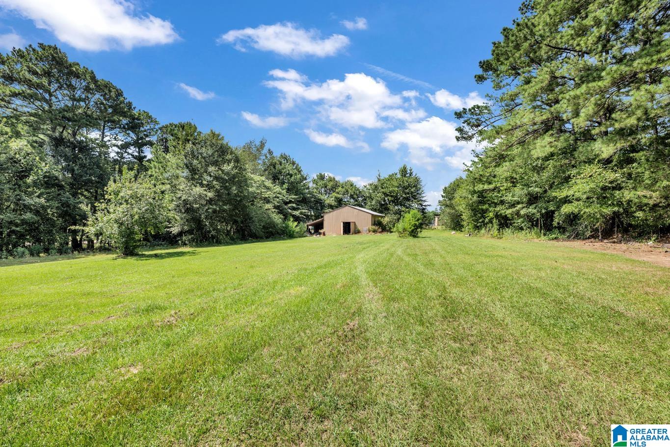 1325 Reds Road Bessemer, AL 35022 - Photo 19 of 32