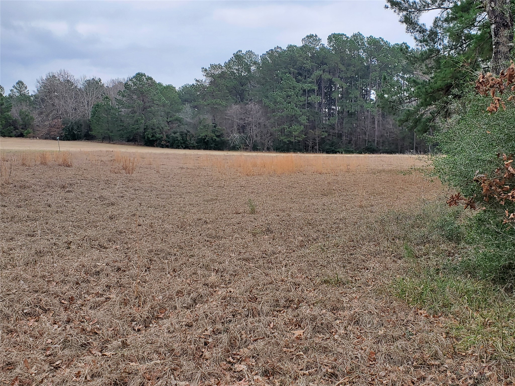 Lot 1-2 Oakley Road Trinity, TX 75862 - Photo 20 of 23 Gallery Image 20
