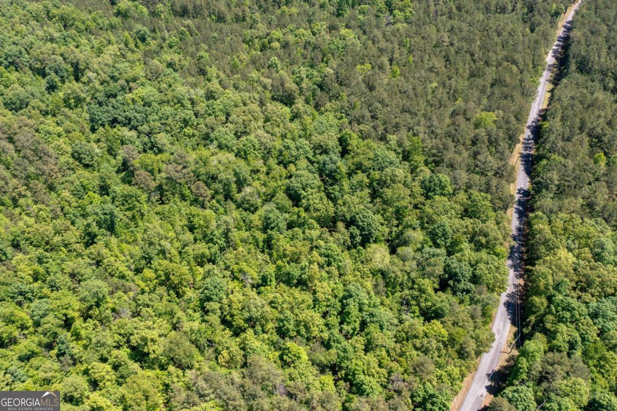 0 Timberwood Road Northwest, Unit 1 White, GA 30184 - Photo 14 of 25 a view of a green field