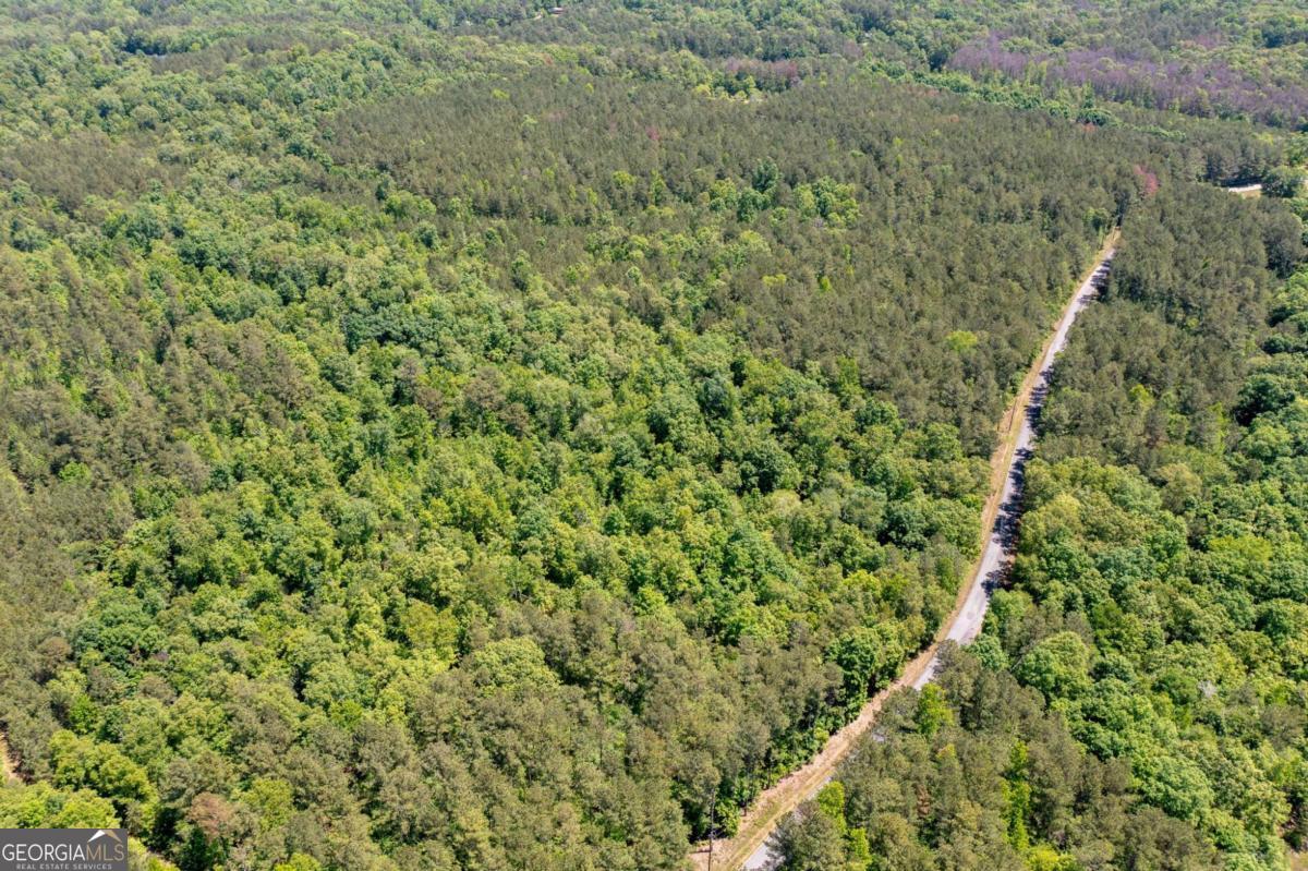 0 Timberwood Road Northwest, Unit 1 White, GA 30184 - Photo 15 of 25 a view of a lush green forest with a tree