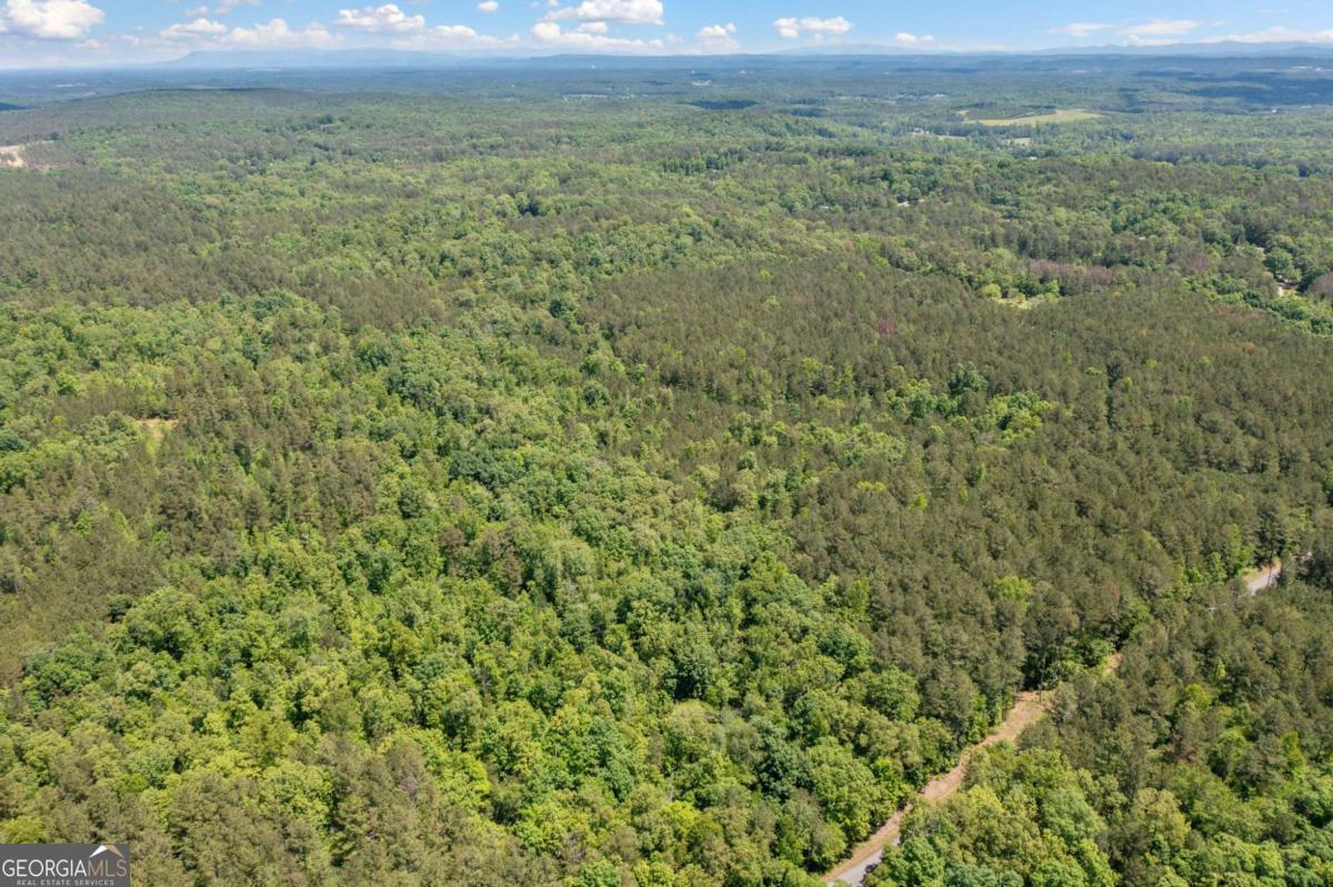 0 Timberwood Road Northwest, Unit 1 White, GA 30184 - Photo 17 of 25 a view of a big yard and an mountain