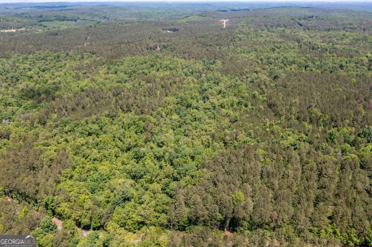 0 Timberwood Road Northwest, Unit 1 White, GA 30184 - Photo 20 of 25 a view of a field with trees in background